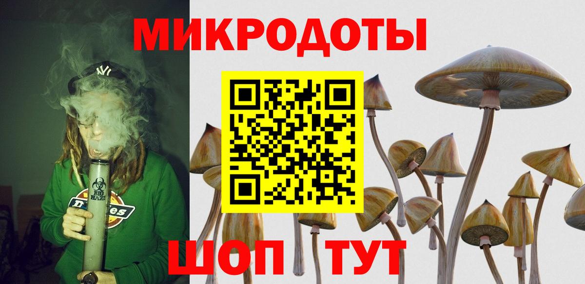 Псилоцибиновые грибы Psilocybe  цены   Ивантеевка  Вход с VPN  Галлюциногенные грибы мухоморы 